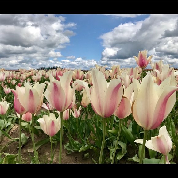 Meet the Posher - Picture 7 of 14